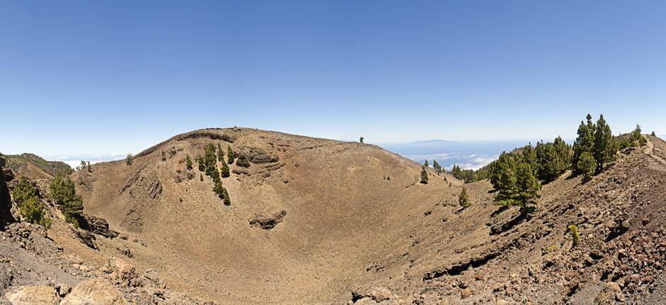 Ruta de los Volcanes + stier på La Palma