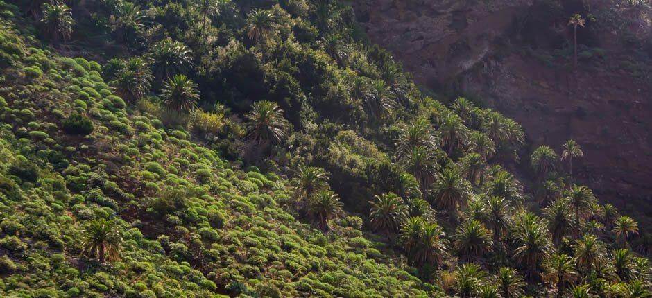 Taguluche, La Gomeras landsbyer