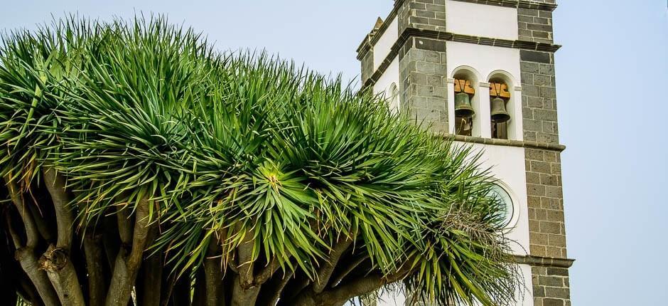 Tegueste, Tenerifes sjarmerende byer.