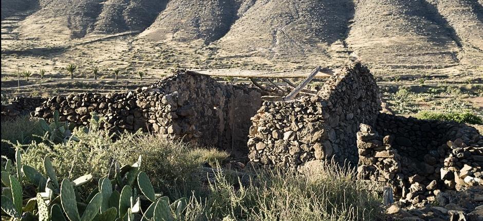 Vallebrón + stier på Fuerteventura