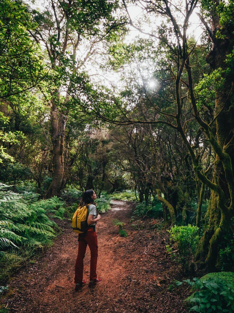 Mencáfete. El Hierro