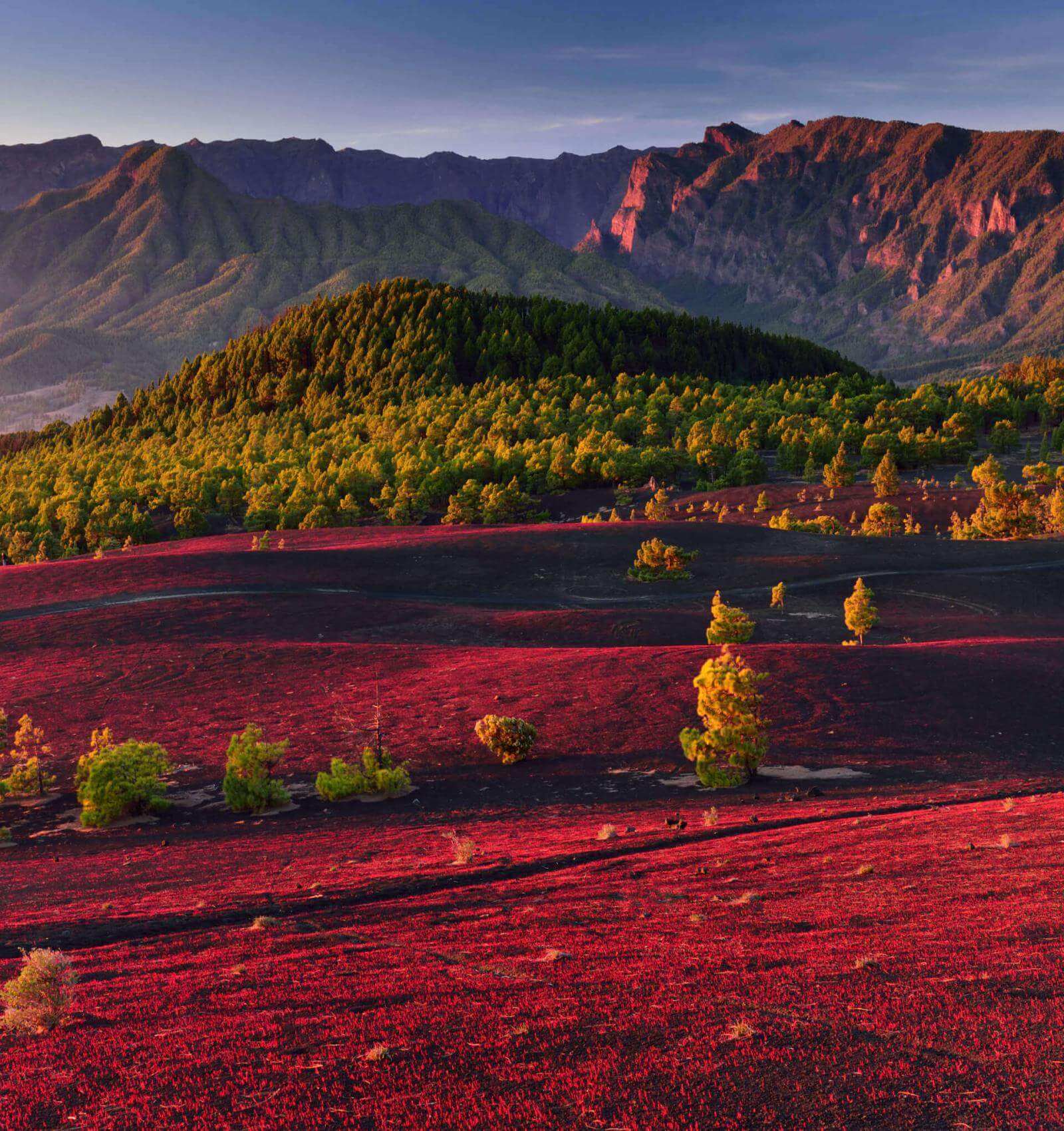 Llanos del Jable på La Palma, rødlig vulkansk slette med kanarifuru og fjell i det fjerne.