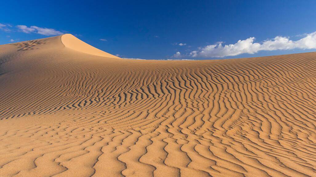 Reserva Natural Especial de las Dunas de Maspalomas. Gran Canaria