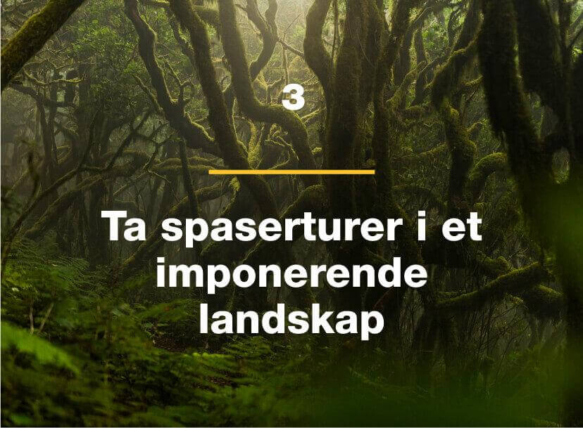 Ta spaserturer i et imponerende landskap.