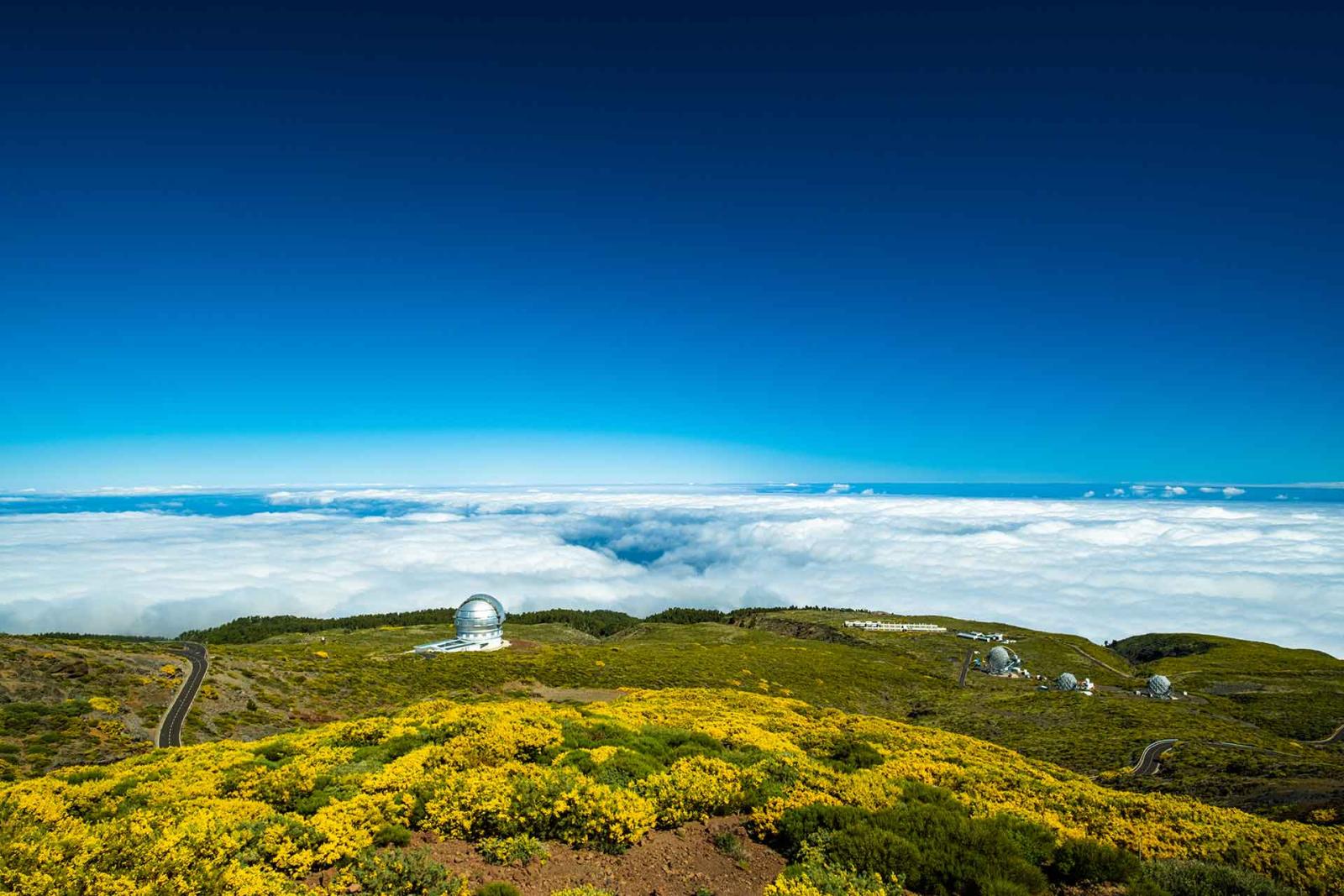 Roque de Los Muchachos