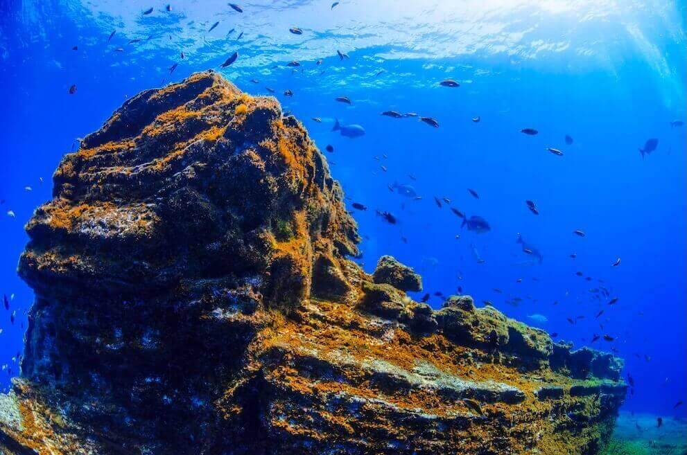 Fondo submarino. El Bajón. El Hierro.