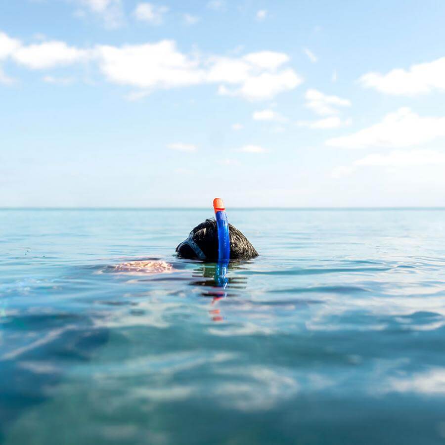 Snorkel