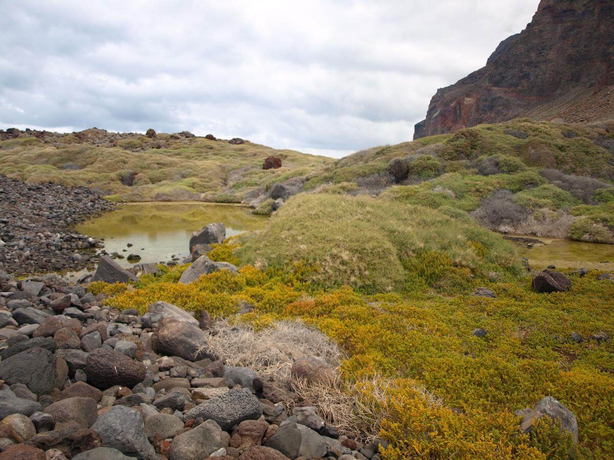 Charco del Cieno