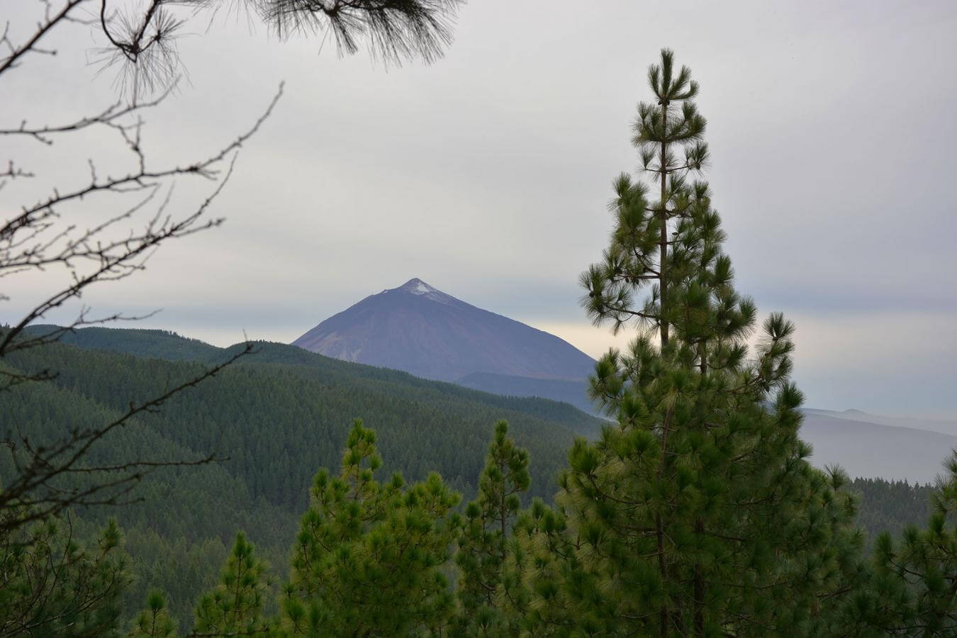 Tenerife.La Esperanza