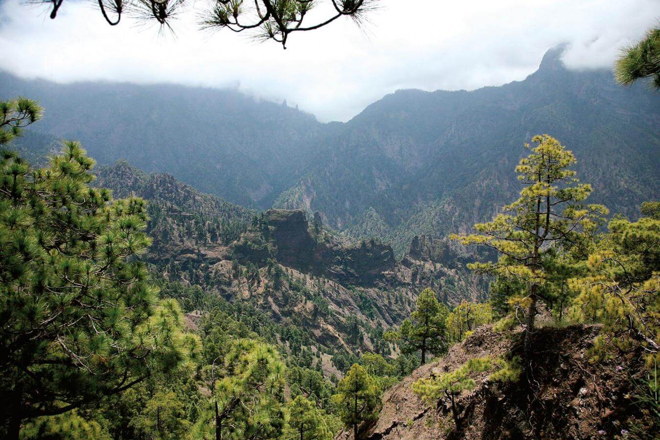 Ruta en coche por Santa Cruz de La Palma, Roque de Los Muchachos y Tazacorte. - galeria6