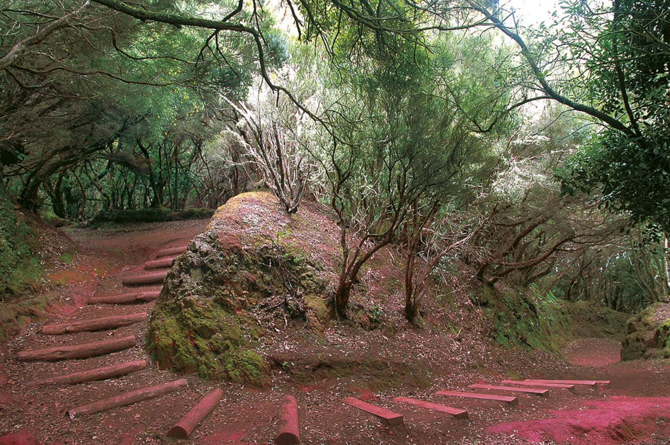 Parque Rural de Anaga, en Tenerife 