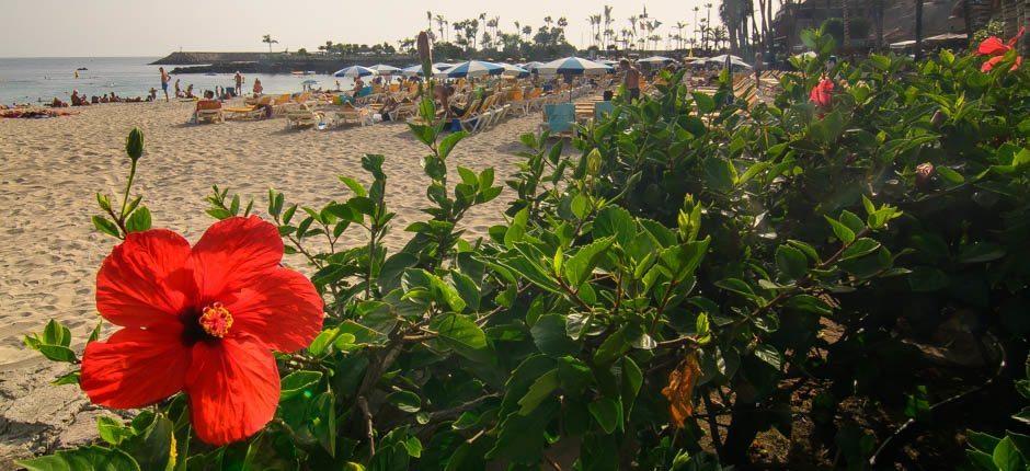 Anfi del Mar – barnevennlige strender på Gran Canaria