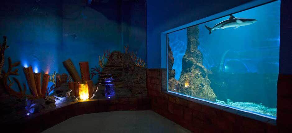 Akvarier på Lanzarote 