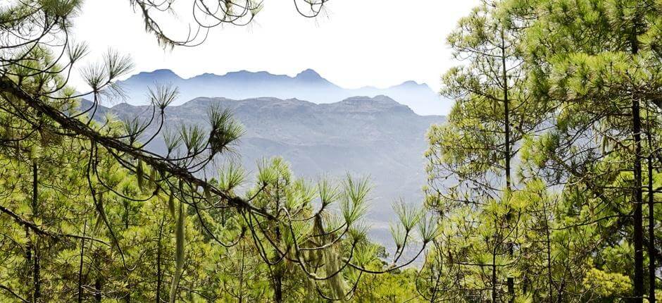 Tamadaba til Bajada de Faneque + La Gomera  