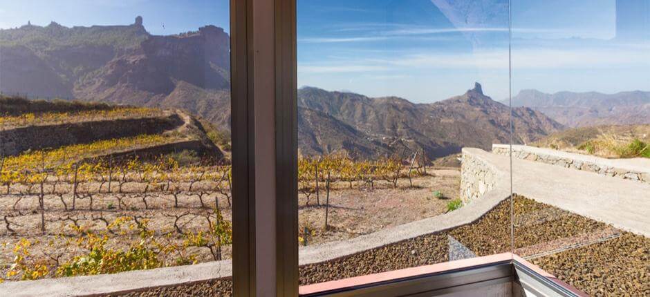Bodega Bentayga i Gran Canaria