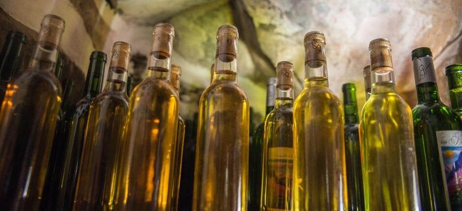 Bodega Los Berrazales + Vinprodusenter på Gran Canaria