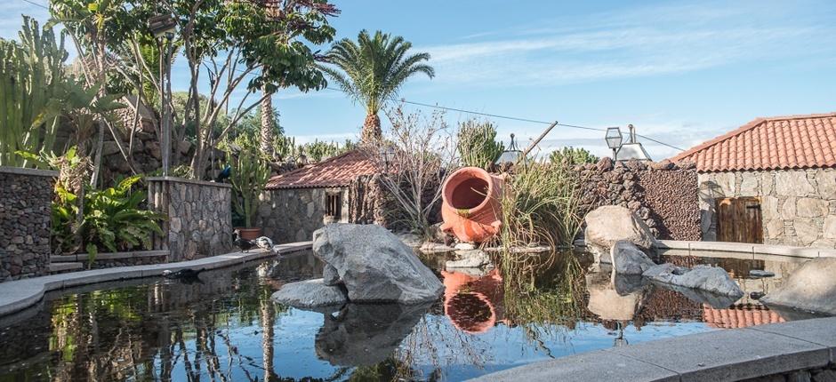 Cactualdea Park + museer og turistsentre på Gran Canaria 