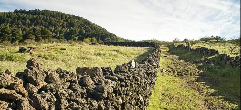 Camino de la Virgen + stier på El Hierro  