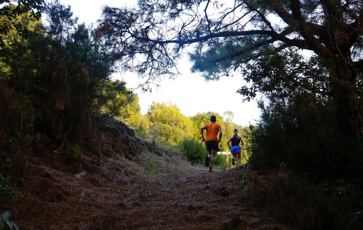 Candelaria - Santa Cruz de La Palma-Trail