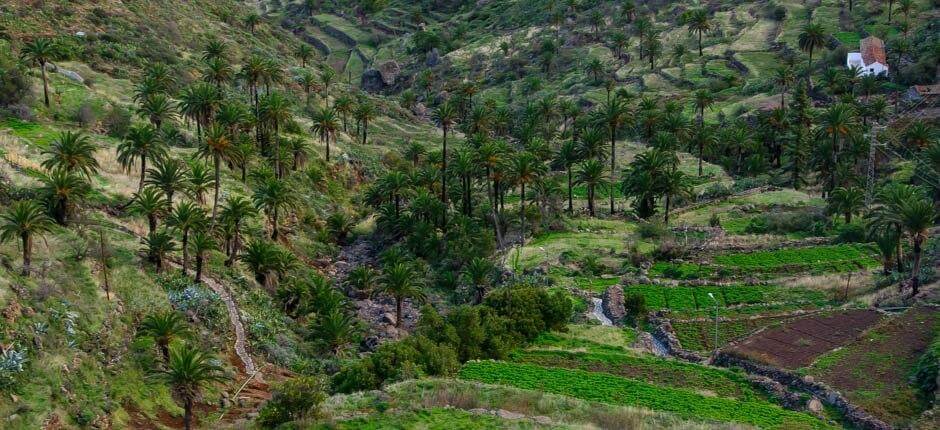 Imada, La Gomeras landsbyer