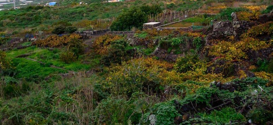 Los Llanillos, El Hierros landsbyer