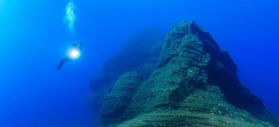 Dykking i El Bajón på El Hierro