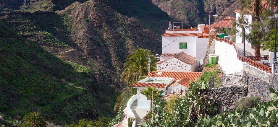 El Carrizal de Tejeda, Gran Canarias landsbyer