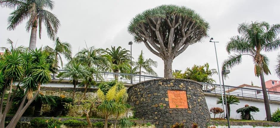 El Sauzal, Tenerifes sjarmerende byer