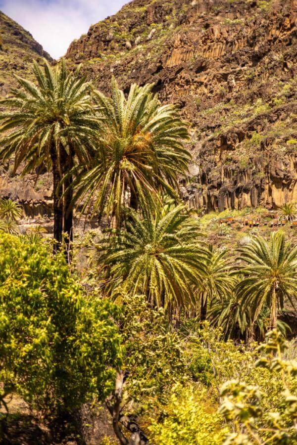 Sendero a la cascada en el barranco de Arure