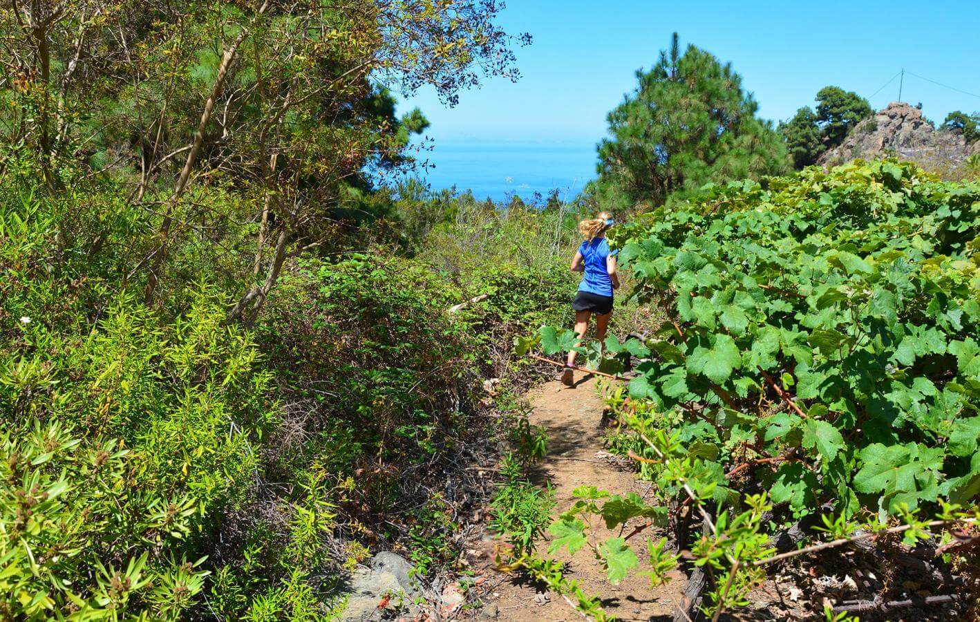 Icod de los Vinos-Trail