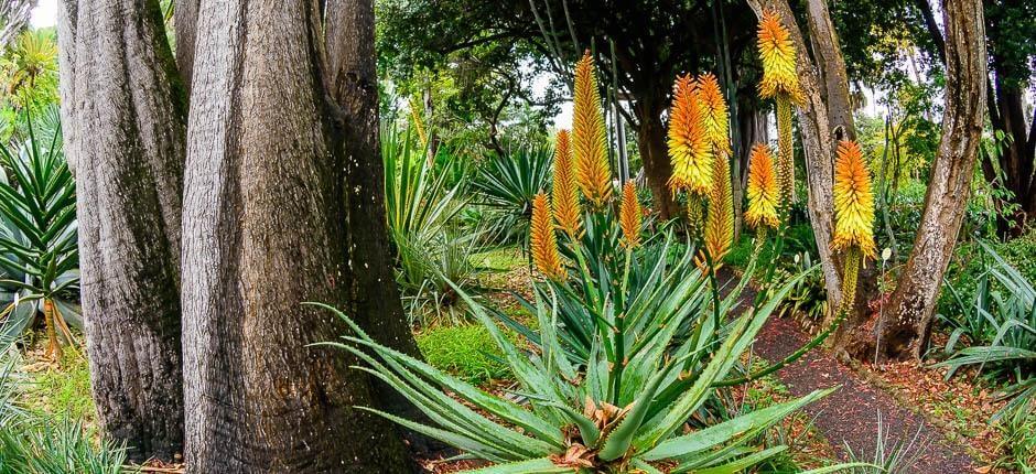 Orotavas akklimatasjonshage – Museer og turistsentre på Tenerife