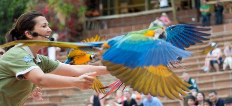 Jungle Park, Dyrehager på Tenerife