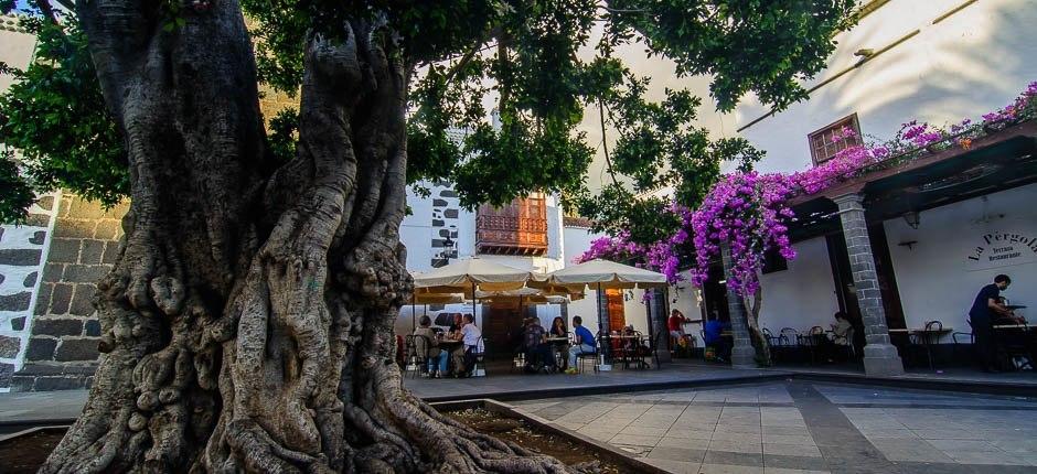 Los Llanos de Aridanes gamleby + La Palmas historiske bydeler