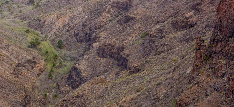 La Degollada de las Yeguas utsiktspunkt på Gran Canaria