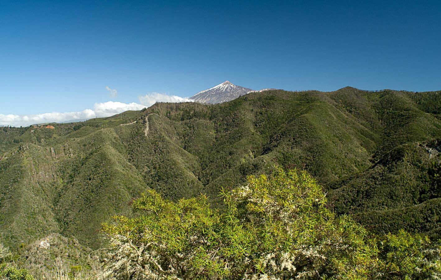 Monte del Agua. Senderos de Tenerife