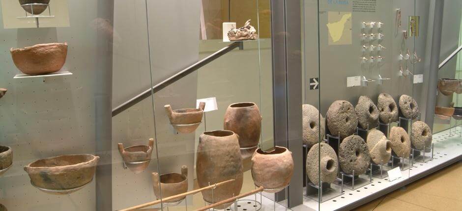 MUNA – Museum for natur og arkeologi