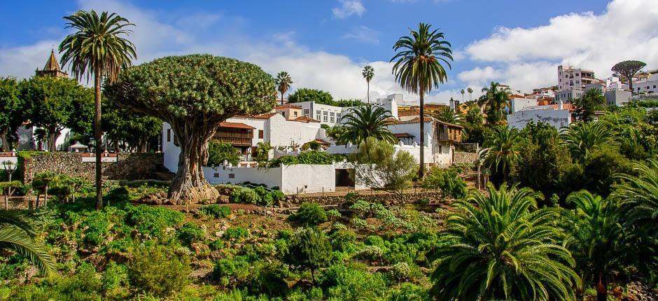 Parque del Drago Milenario – Museer og turistsentre på Tenerife