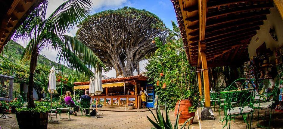 Parque del Drago Milenario – Museer og turistsentre på Tenerife