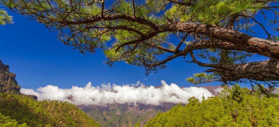 Parque Nacional de la Caldera de Taburiente, en La Palma