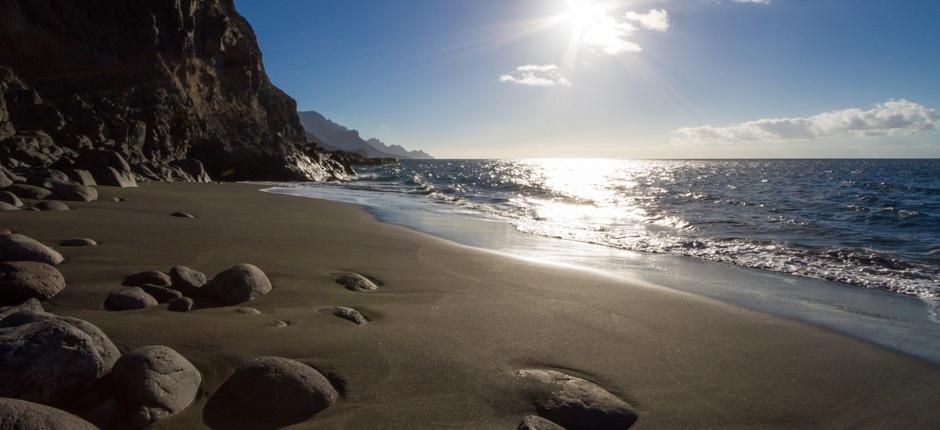 Guayedra-stranden + Urørte strender på Gran Canaria