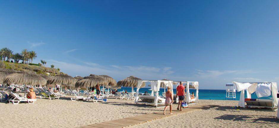 Duque-stranden i Tenerife