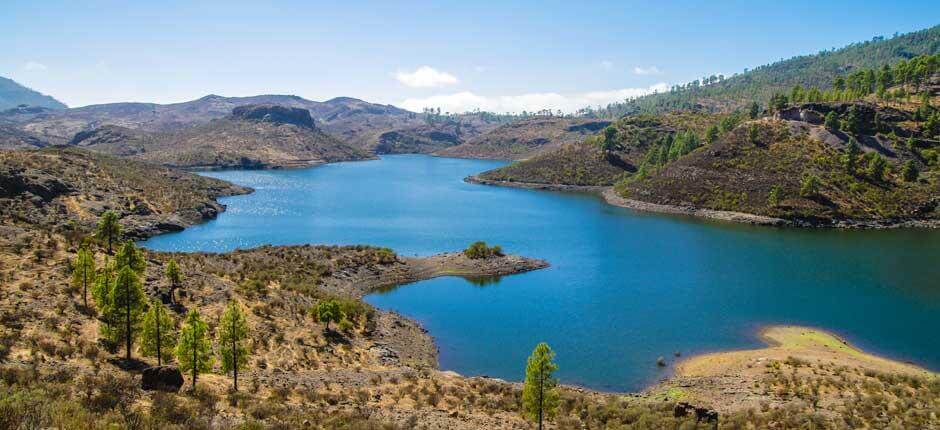 Presa de Las Niñas Espacios naturales de Gran Canaria