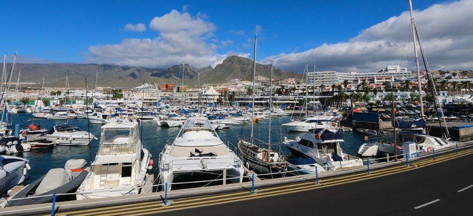 Puerto Colón, marinaer og havner på Tenerife