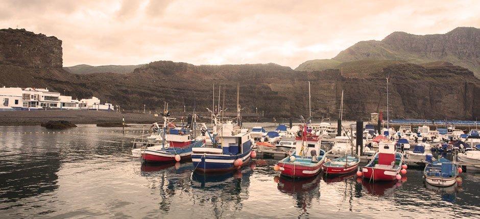 Puerto de Las Nieves, marinaer og havner på Gran Canaria