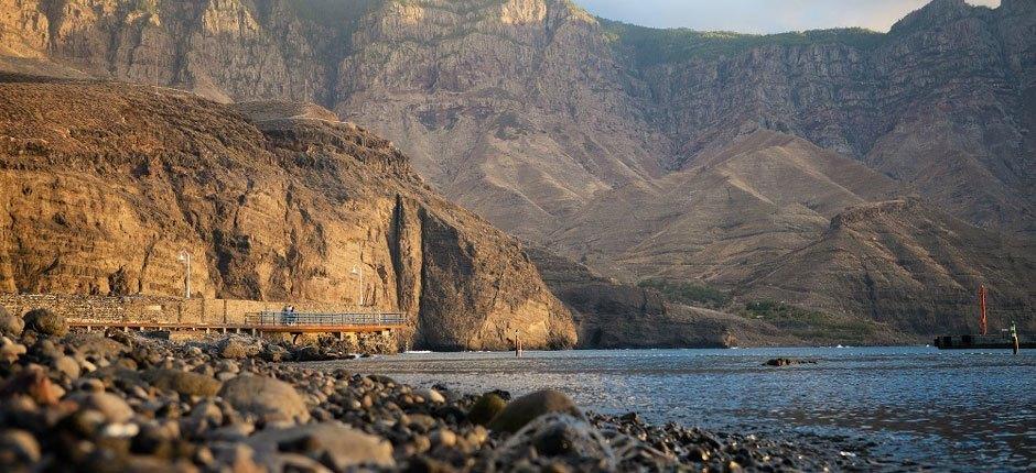 Puerto de Las Nieves, marinaer og havner på Gran Canaria