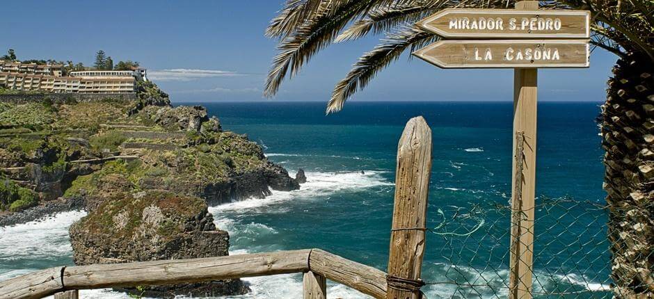 Rambla de Castro + stier på Tenerife  