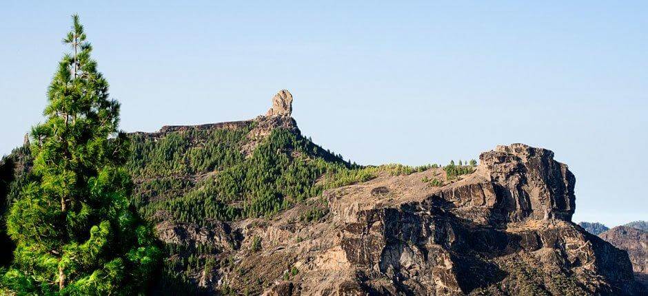 Roque Nublo + stier på Gran Canaria