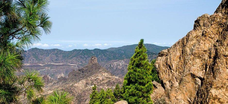 Roque Nublo + stier på Gran Canaria