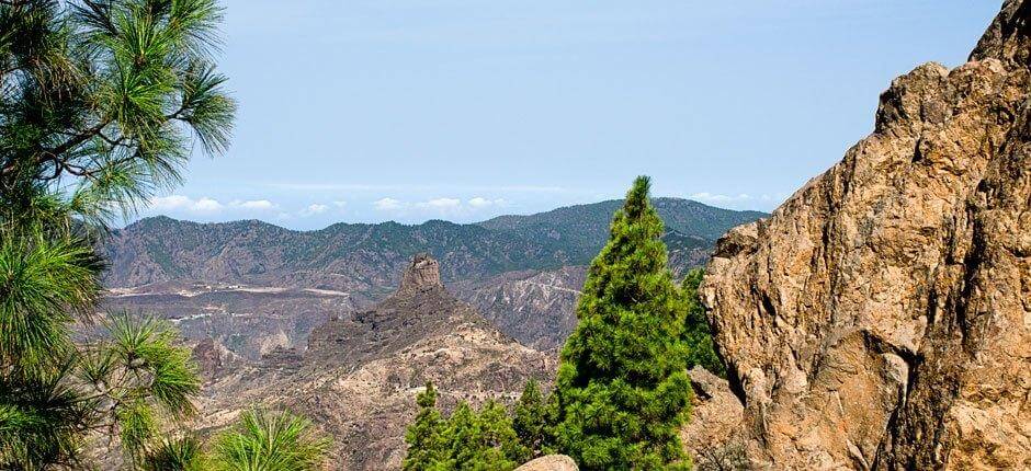 Roque Nublo + stier på Gran Canaria  