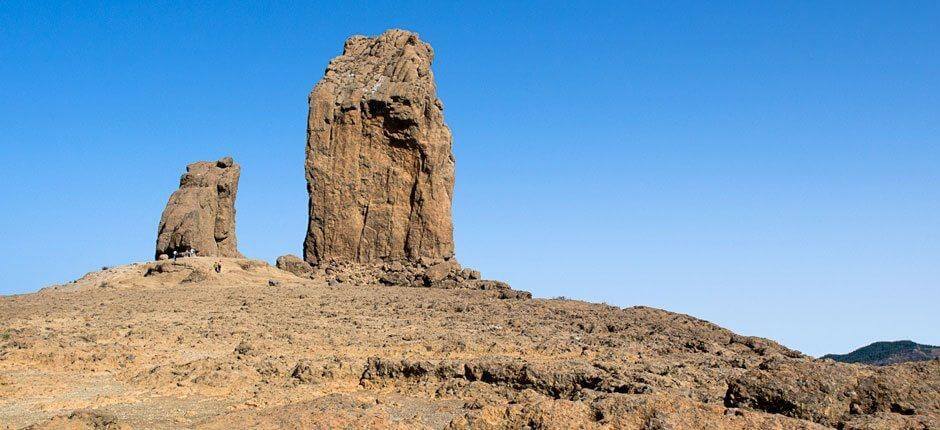 Roque Nublo + stier på Gran Canaria